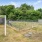 dog park